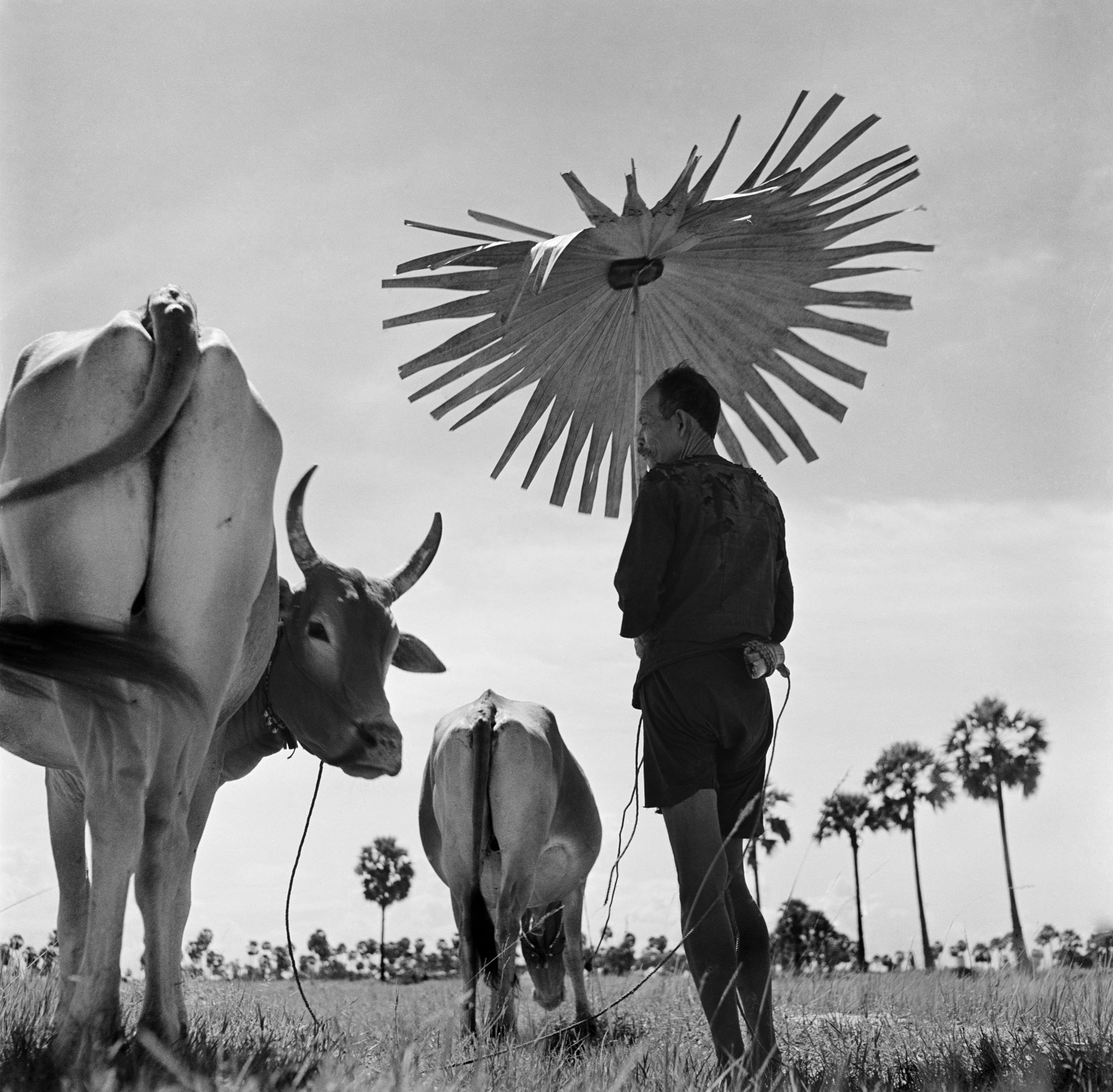 Werner Bischof, Cambodia, 1952. ©Werner Bischof Magnum Photos
