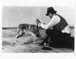 Joseph Beuys, I like America and America likes Me, (1974), Courtesy Edition Block, Berlin © Bildrecht Wien, 2017