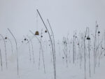 Christian Boltanski, Animitas (blanc) © C. Boltanski