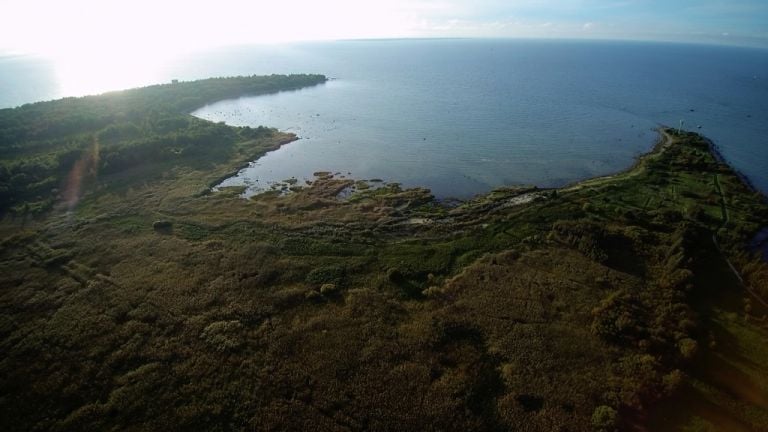 Penisola di Paljassaare a Tallinn, Estonia. Drone view, 2017. Courtesy ecoLogicStudio