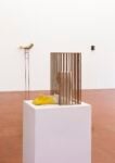 Andreas Senoner, Showcase. Childhood, 2017, Ex-Voto. Arm, 2017, Skins #1, 2017, exhibition view at Dopplegaenger, Bari 2017