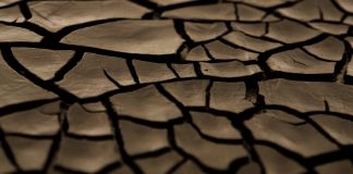 Alberto Burri