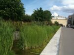 Il giardino di Gilles Clément. Photo Claudia Zanfi