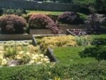 Il giardino di Gilles Clément. Photo Claudia Zanfi