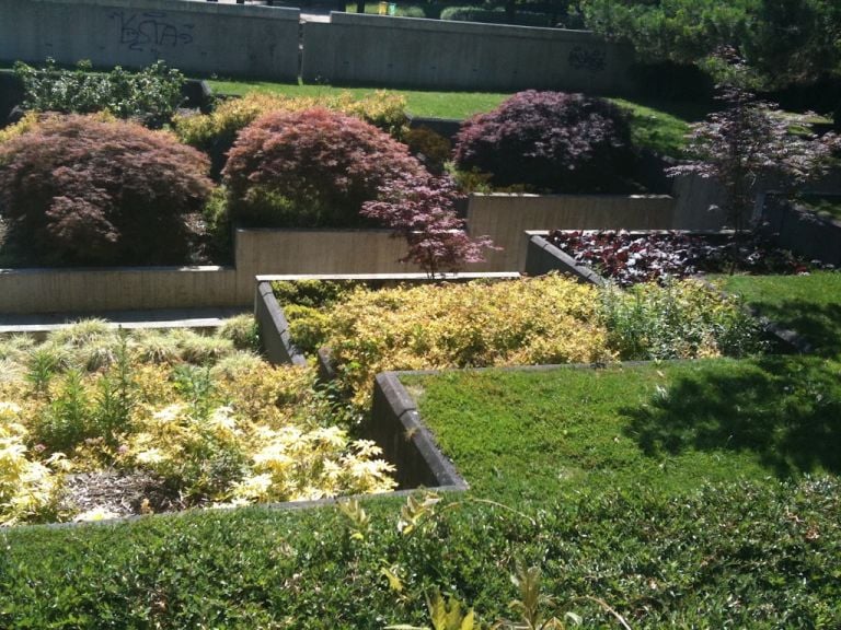 Il giardino di Gilles Clément. Photo Claudia Zanfi