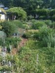 Il giardino di Gilles Clément. Photo Claudia Zanfi