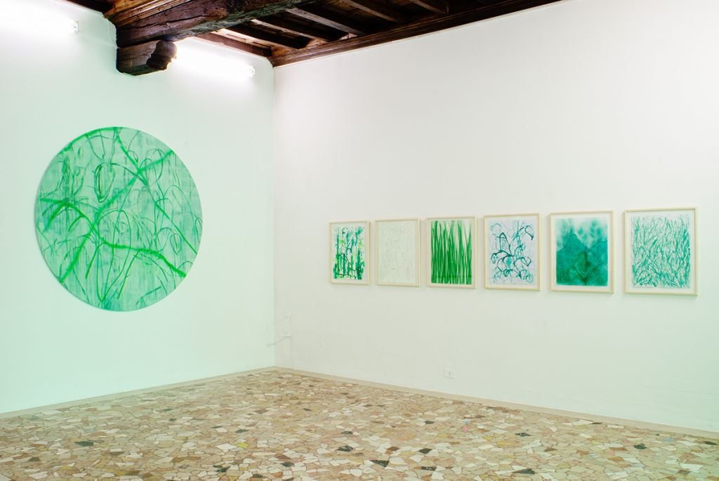 Indagine in verde. Thomas Berra a Piacenza