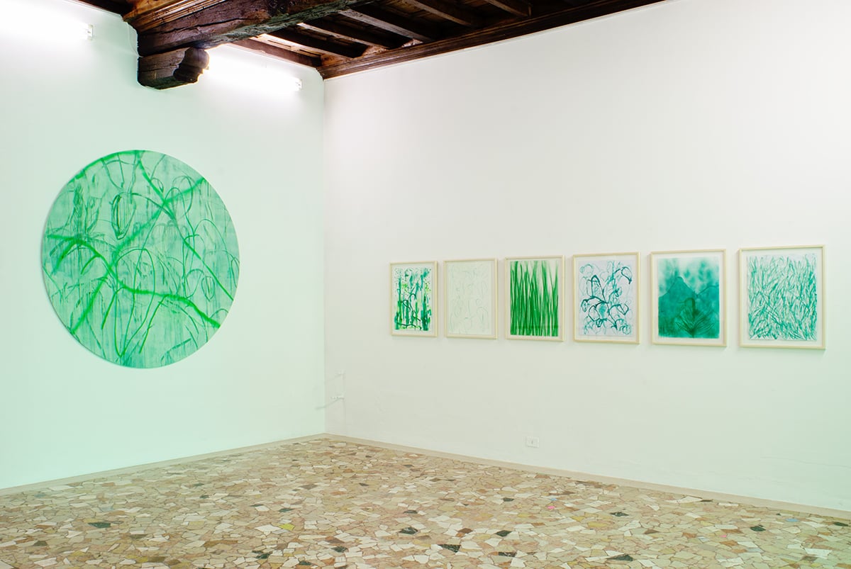 Thomas Berra. Verde Indagine. Exhibition view at Placentia Arte, Piacenza 2017