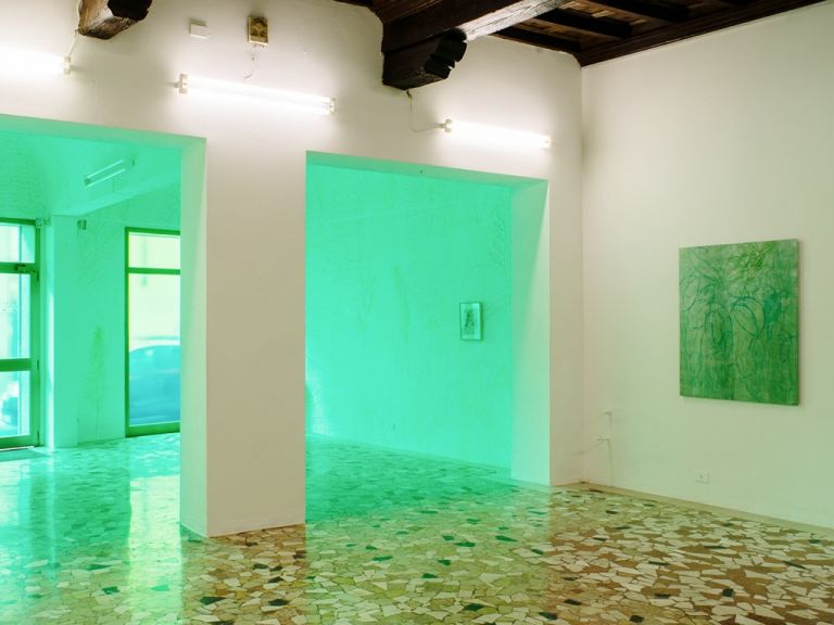 Thomas Berra. Verde Indagine. Exhibition view at Placentia Arte, Piacenza 2017