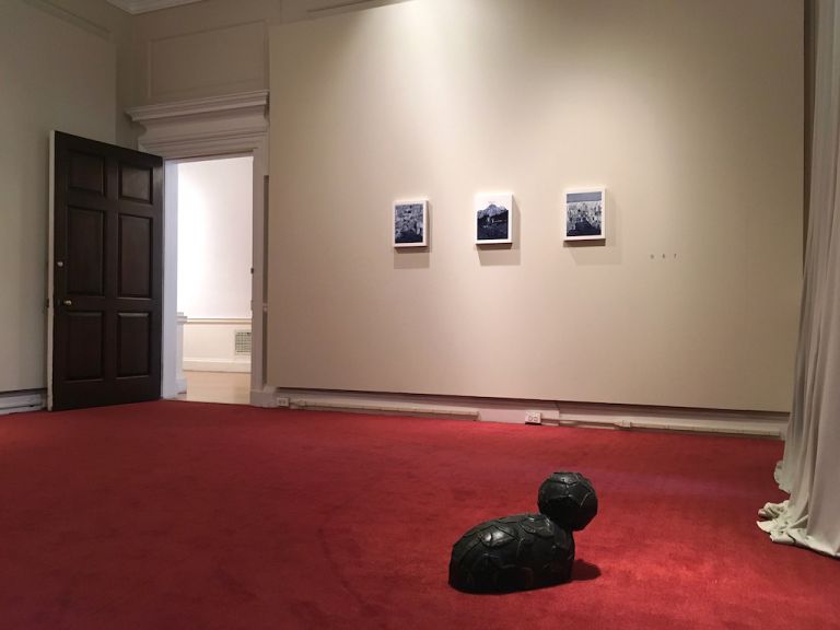 Giuseppe Stampone, Carl D'Alvia_NHIN, installation view, IIC, la galleria