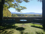 Tenuta di CastelGiocondo a Montalcino, foto Valentina Silvestrini