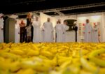 Abu Dhabi Art 2016 Sheikh Abdulla bin Zayed at Gateway Gu Dexin Al via Abu Dhabi Art, la fiera d’arte di Abu Dhabi. Le immagini