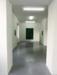 Daniel Lergon. Unter Grün. Exhibition view at Galleria Mario Iannelli, Roma 2017