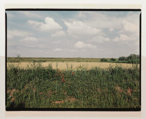 Le Pietre del Cielo. Luigi Ghirri e Paolo Icaro alla Fondazione Querini Stampalia di Venezia