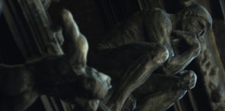 RODIN CAPTURE