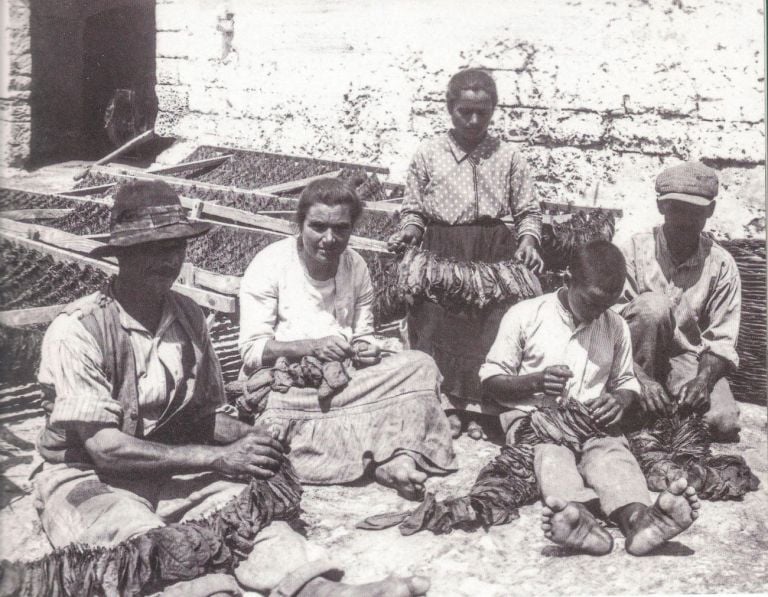 Giuseppe Palumbo, Contadini intenti ad infilare la faglia, 1924