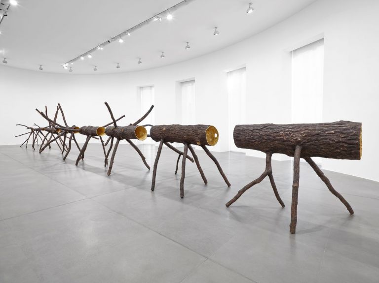 Giuseppe Penone. Spazio di Luce. Installation view at Gagosian Gallery, Roma 2015. Photo Matteo D’Eletto M3 Studio. Courtesy Gagosian and the artist