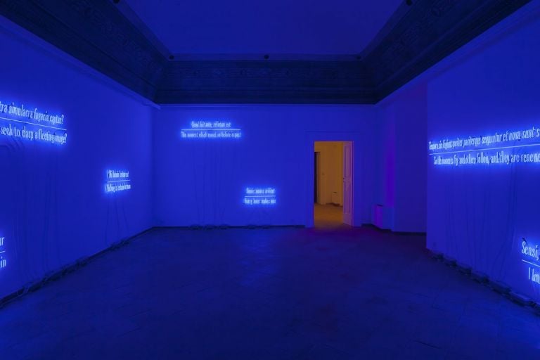 Joseph Kosuth. Maxima Proposito (Ovidio). Galleria Vistamare, Pescara 2017. Courtesy the artist and Vistamare. Photo Filippo Armellin