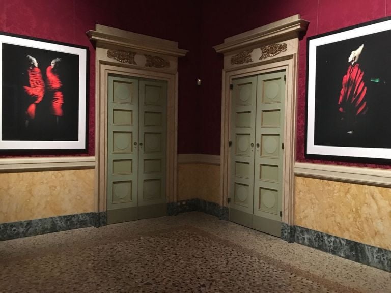 Paolo Roversi. Storie. Installation view at Palazzo Reale, Milano 2017