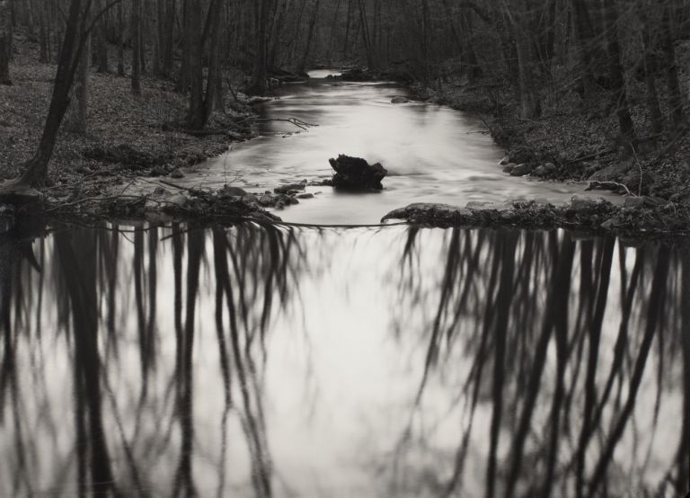 Paul Caponigro, Reflecting Stream, Redding, CT, 1969 © l’artista, courtesy Fondazione Cassa di Risparmio di Modena