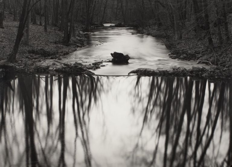 Paul Caponigro, Reflecting Stream, Redding, CT, 1969 © l’artista, courtesy Fondazione Cassa di Risparmio di Modena