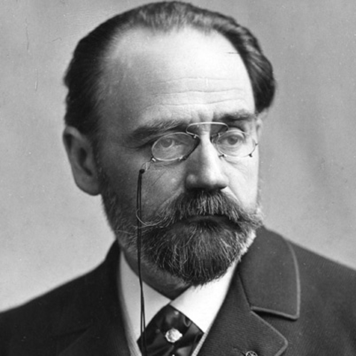 Image result for emile zola