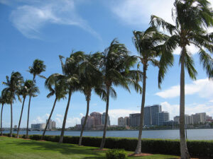 Ancora fiere in Florida: inaugura l’anno The Palm Beach Modern+Contemporary del colosso Art Miami