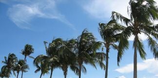 Palm Beach