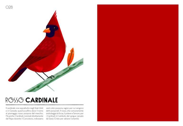Cruschiform – Colorama. Il mio campionario cromatico (L’ippocampo, Milano 2017). Rosso cardinale
