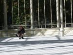 Doris Salcedo, Palimpsesto, 2016-17. Installation view at Palacio de Cristal, Madrid 2017