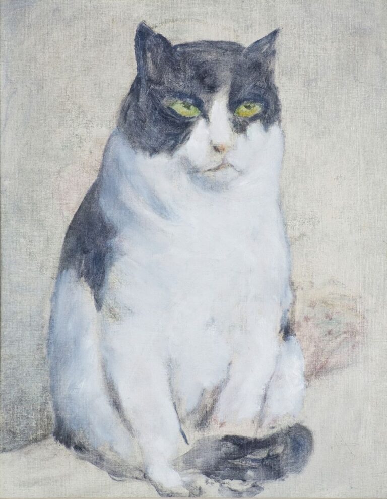 Gustavo Rol, Gatto, seconda metà del Novecento. Collezione privata