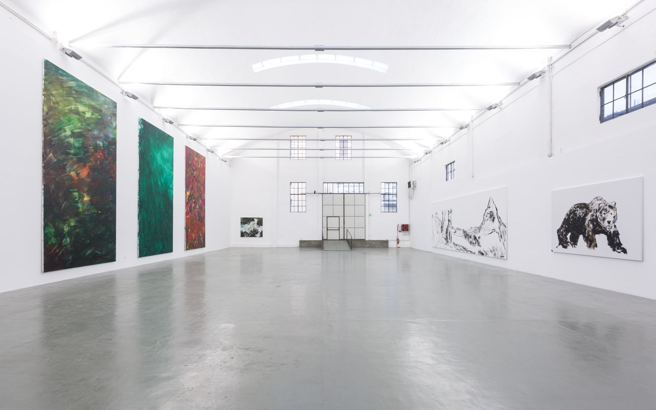 Herbert Brandl. Installation view at Galleria Giorgio Persano, Torino 2017. Photo Nicola Morittu. Courtesy Galleria Giorgio Persano