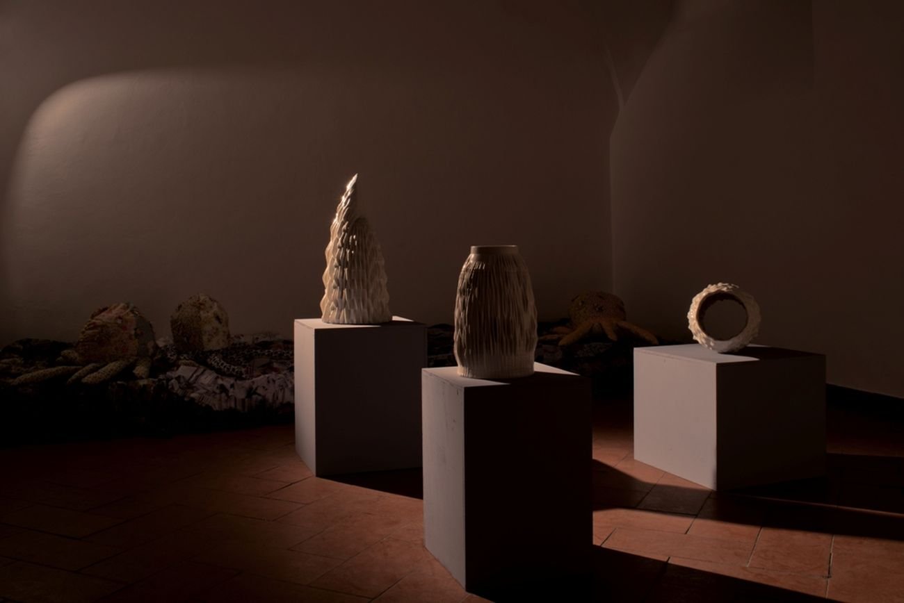 Matteo Nasini. Il Giardino Perduto. Installation view at Operativa Arte Contemporanea, Roma 2018. Photo Francesco Demichelis