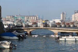 Tandem. Sonia Andresano e Francesco Romanelli ad Ancona