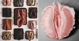 Il primo Museo della Vagina. Sorgerà a Brighton e lo creerà uno youtuber