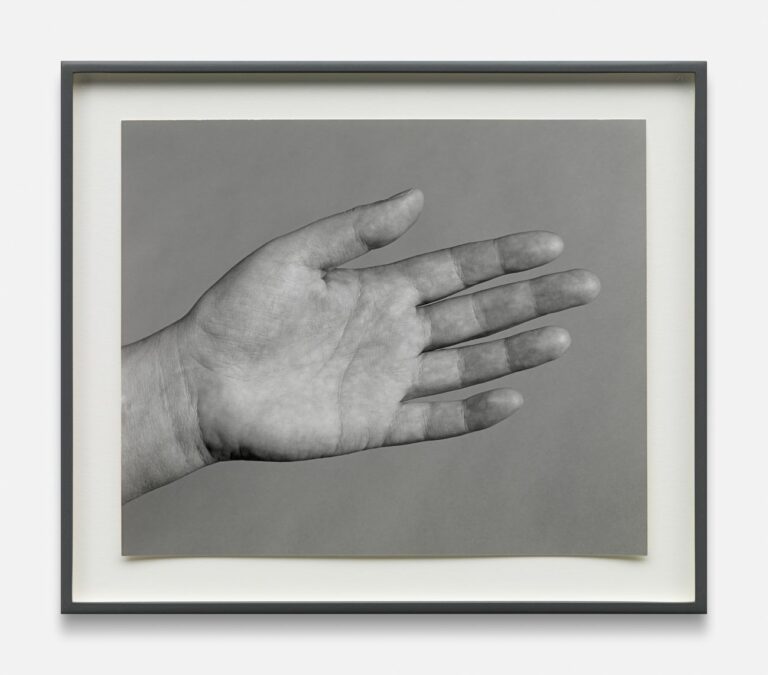 Alejandro Cesarco, Studies for a Series on Love (Wendy's Hands), 2015. Courtesy of the artist and Galleria Raffaella Cortese, Milano. Photo Lorenzo Palmieri