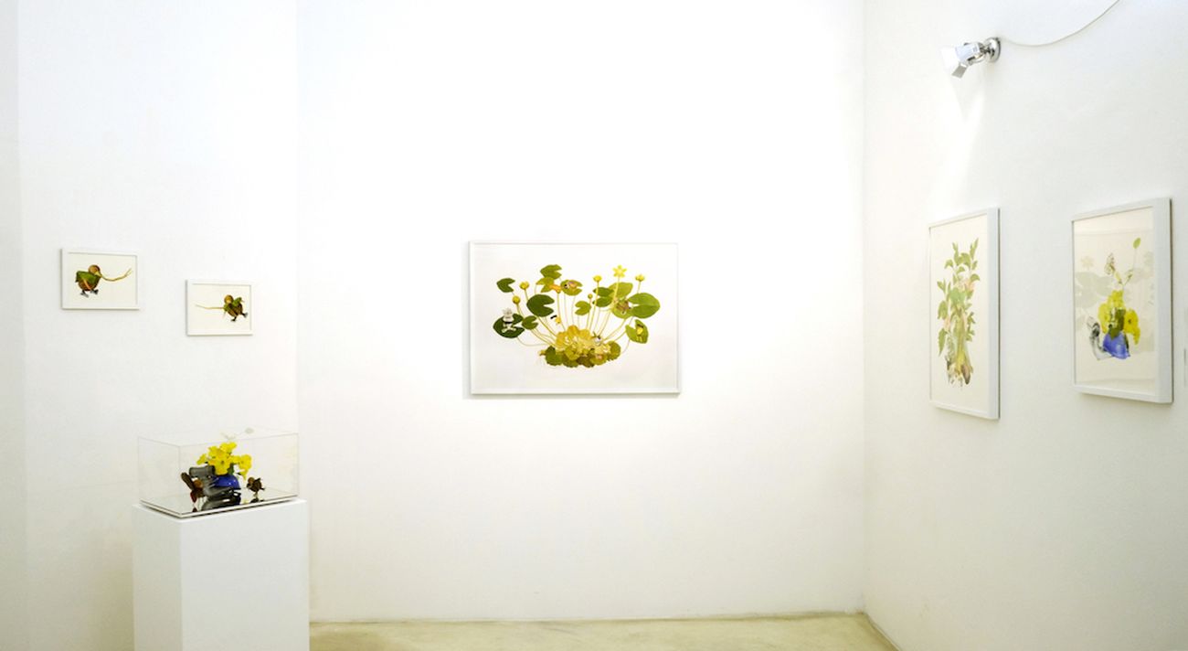 Angelo Maisto. Little Things. Exhibition view at Blu Gallery Arte Contemporanea, Bologna 2018