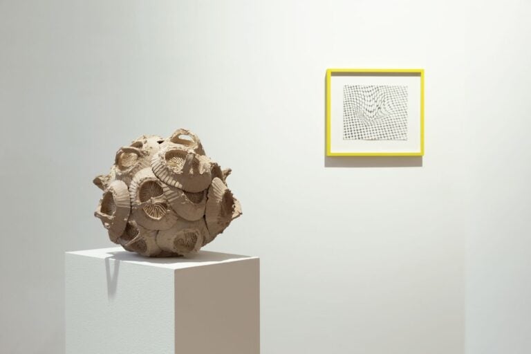 Barbara de Ponti, Gephyrocapsa Oceanica, dalla serie Clay Time Code, 2016. Courtesy Viasaterna, Milano