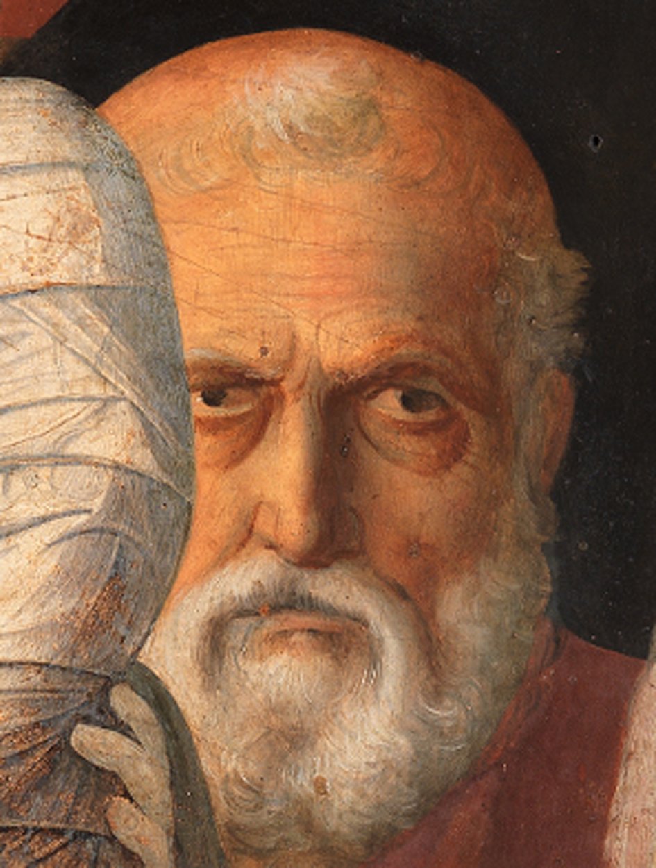 Giovanni Bellini, Presentazione di Gesù al Tempio, particolare