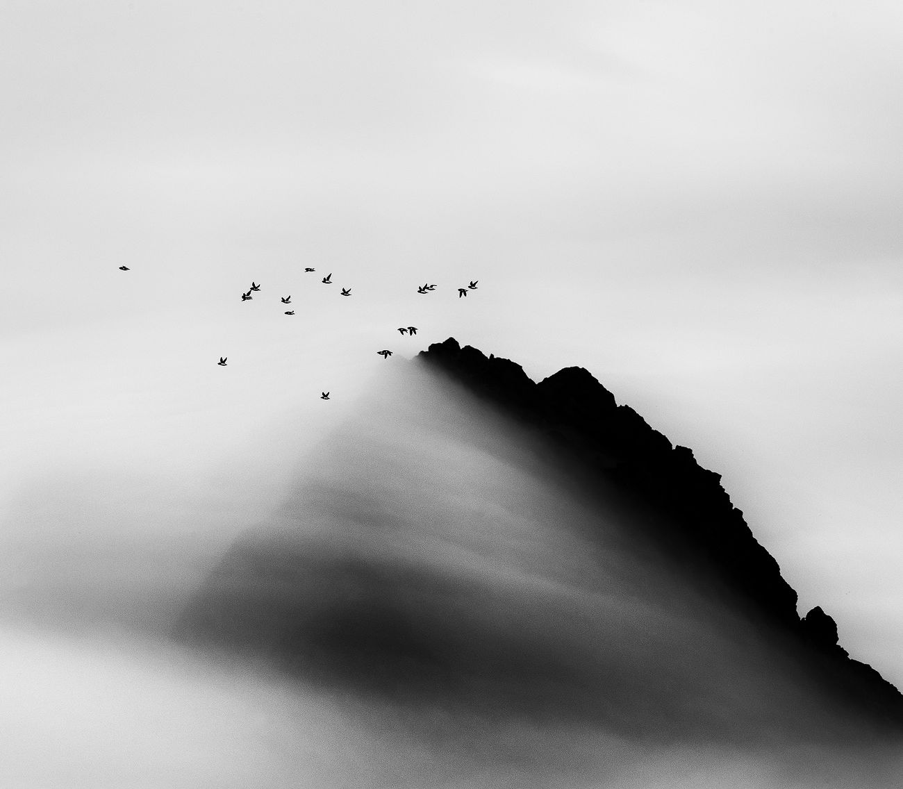 Carsten Egevang © Thule, Groenlandia, 2014