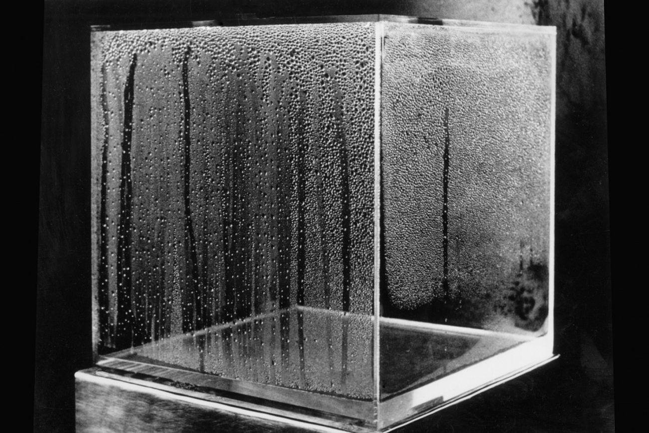 Hans Haacke, Condensation Cube, 1965-2006. MACBA, Barcellona