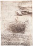 Leonardo da Vinci, vortici dal Codice Leicester, 1507. Bill Gates Collection