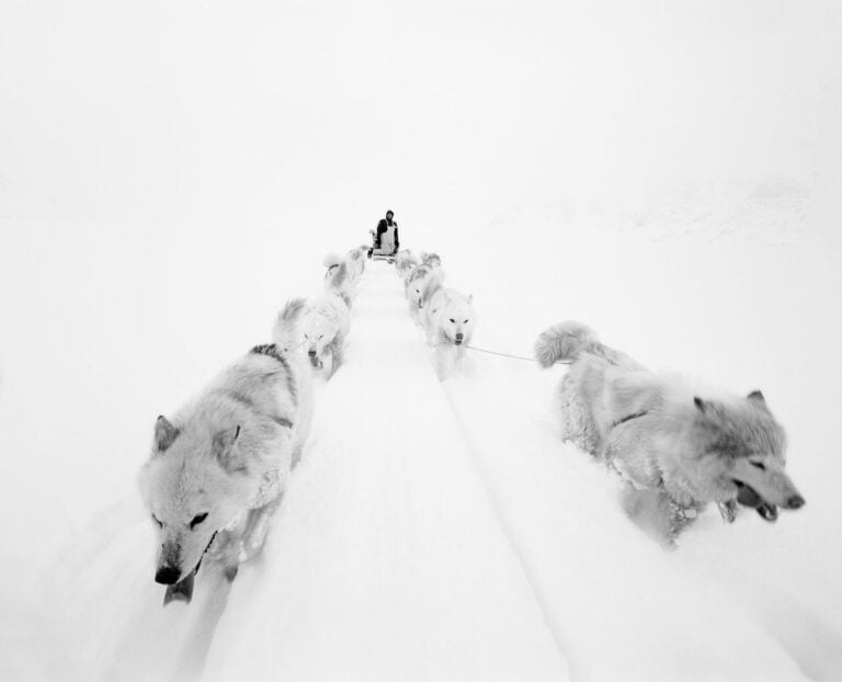 Paolo Solari Bozzi © Sermilik Fjord, Groenlandia 2016