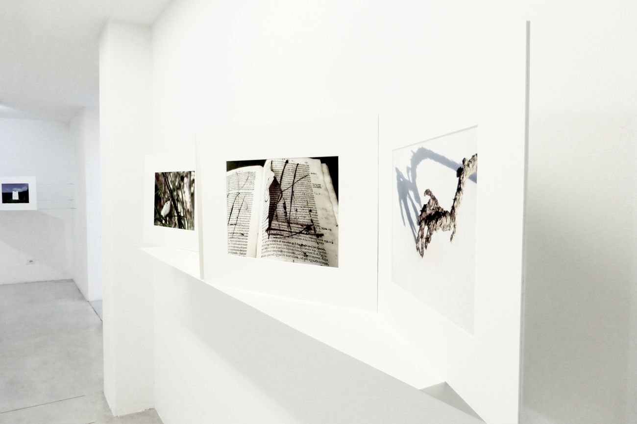 Pia Gazzola. Sorvolo. Exhibition view at Studio La Città, Verona 2018. Photo Valeria Nicolis