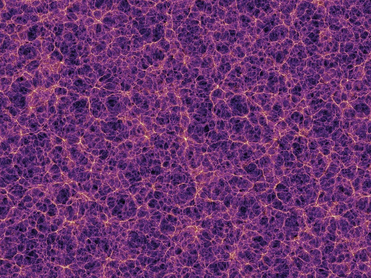 Simulazione software dell'Universo su grande scala ©Max Planck Institute for Astrophysics