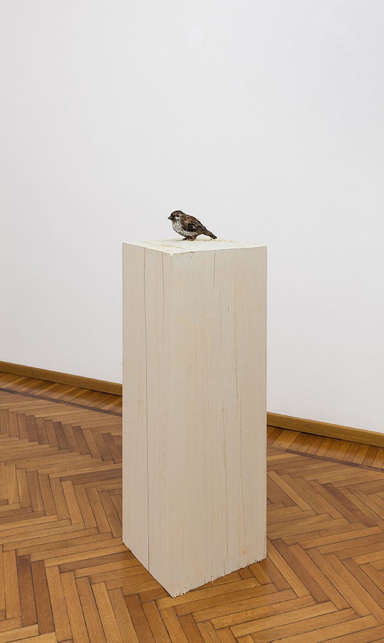 Stephan Balkenhol, Bird, 2017. Courtesy Galleria Monica De Cardenas, Milano. Photo credit Andrea Rossetti