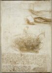 Studies of water, c.1510–12, black chalk, pen and ink