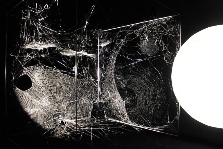 Tomás Saraceno, Echoes of the Arachnid Orchestrawith Cosmic Dust, 2017. Photo Cecilia Fiorenza, courtesy Fondazione MAXXI