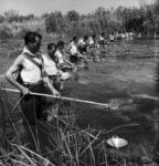 Wolfgang Suschitzky, Campagna per l'eradicazione della malaria in Sardegna, Courtesy Istituto Superiore Regionale Etnografico, Fondo Suschitzky