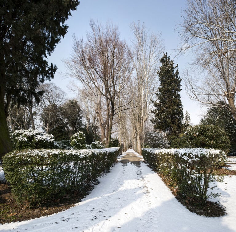 Il bosco dell’Isola di San Giorgio, Venezia. Foto Formentini Chemollo